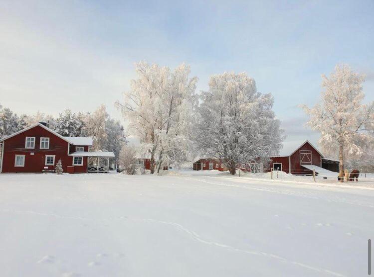 Hus I Ljuset Näsåker