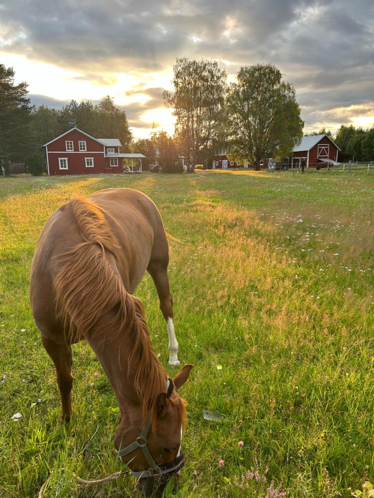 Hus I Ljuset Ferienhaus *